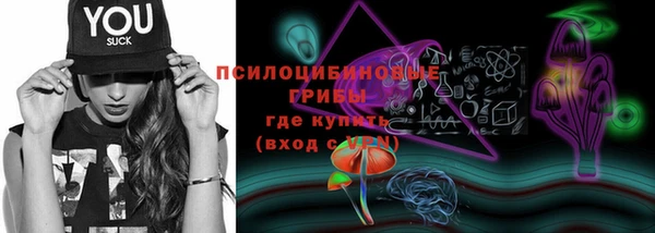 дурь Протвино