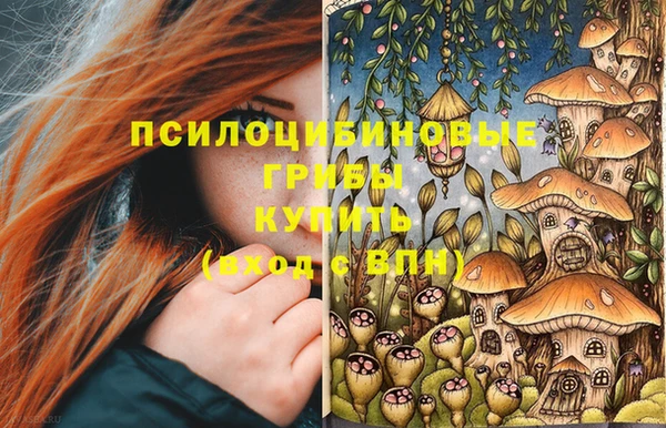 твердый Приозерск