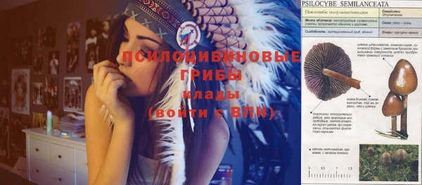 дурь Протвино