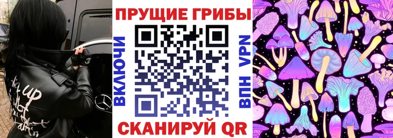 мориарти Telegram  Грязи  Галлюциногенные грибы ЛСД  как найти  
