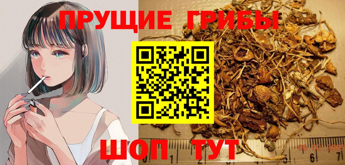 Грязи  Галлюциногенные грибы Magic Shrooms  Галлюциногенные грибы ЛСД  Вход с VPN 