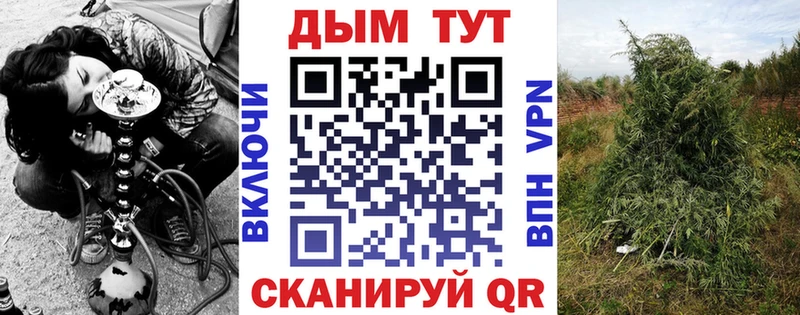 Бошки Шишки OG Kush  Грязи 